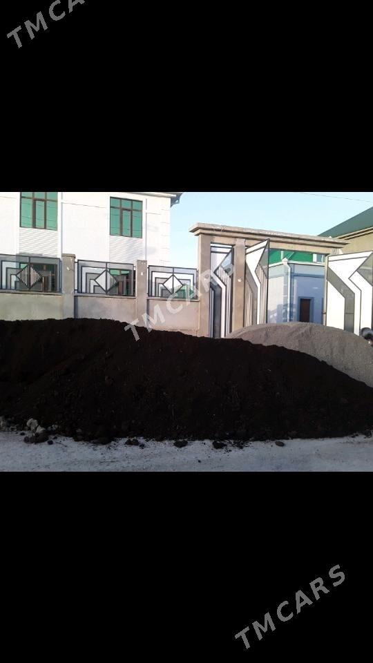 Sygyr ders - Ak bugdaý etraby - img 3