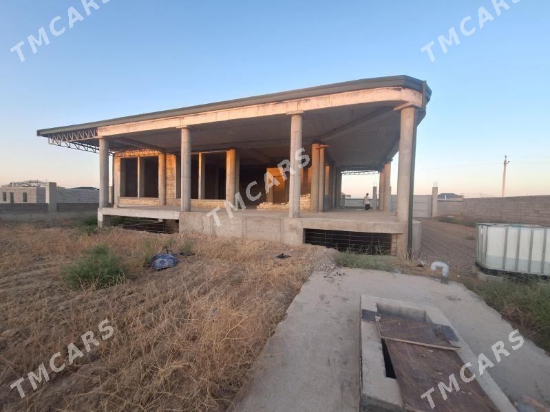 MAGTYMGULY PLAN TAZE PAYLANAN - Änew - img 7