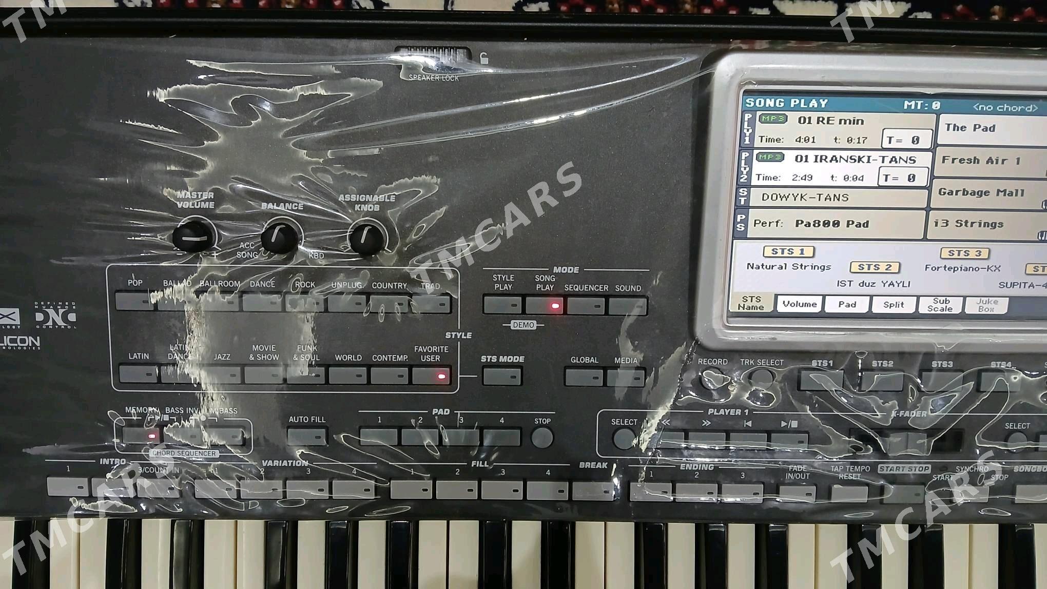 korg pa3 le - Mary - img 3
