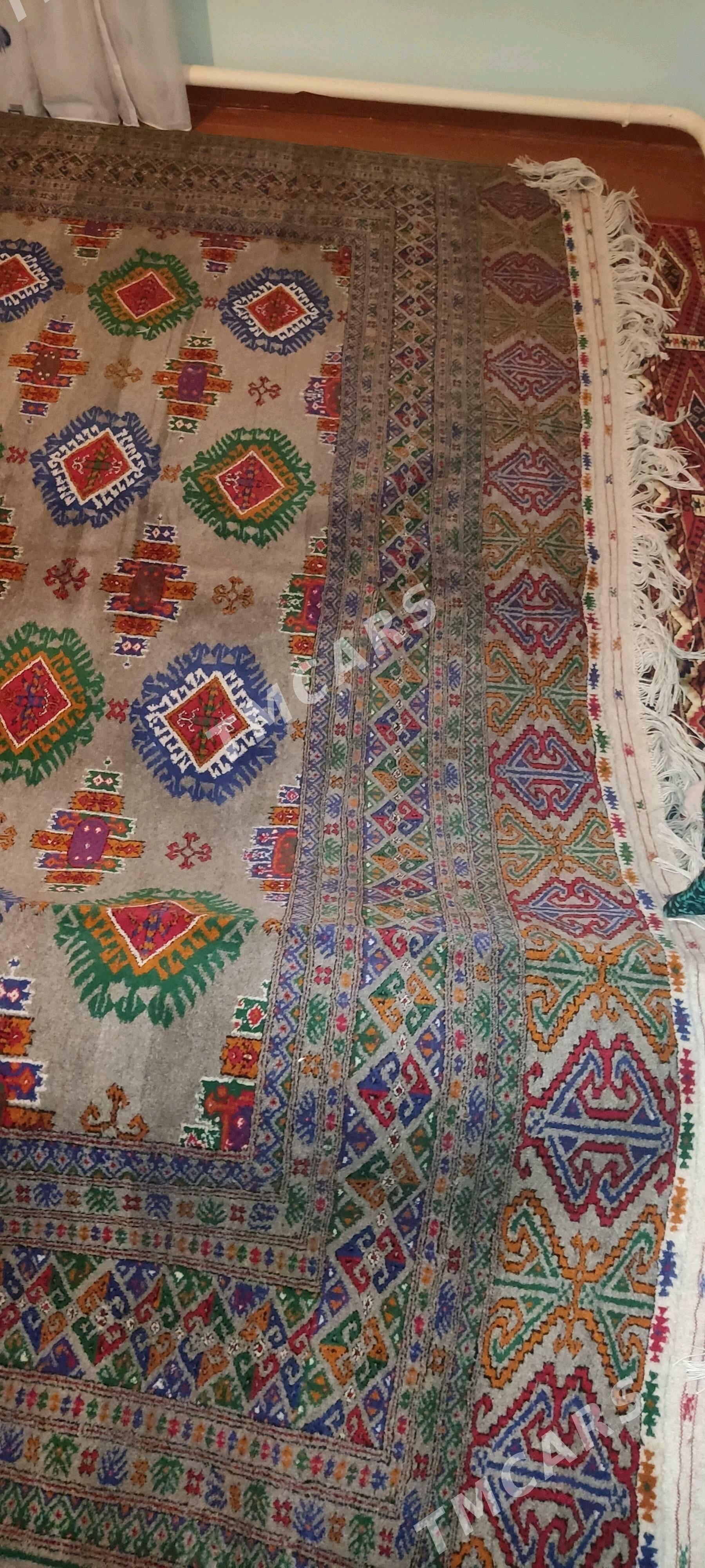 el haly 3/4 - Bäherden - img 1