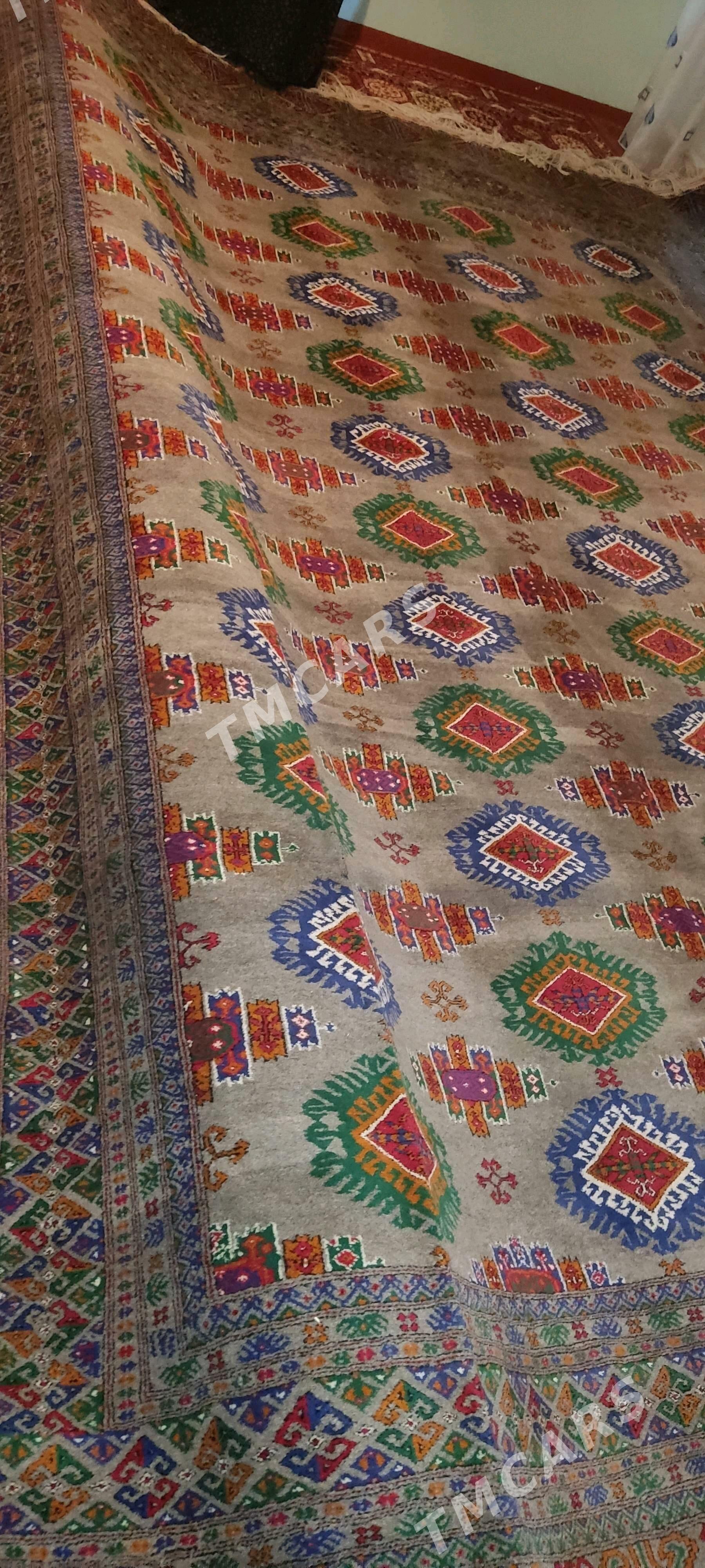 el haly 3/4 - Bäherden - img 2