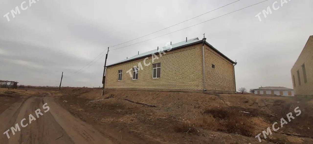 satlyk jay Sakarçäge - Sakarçäge - img 1