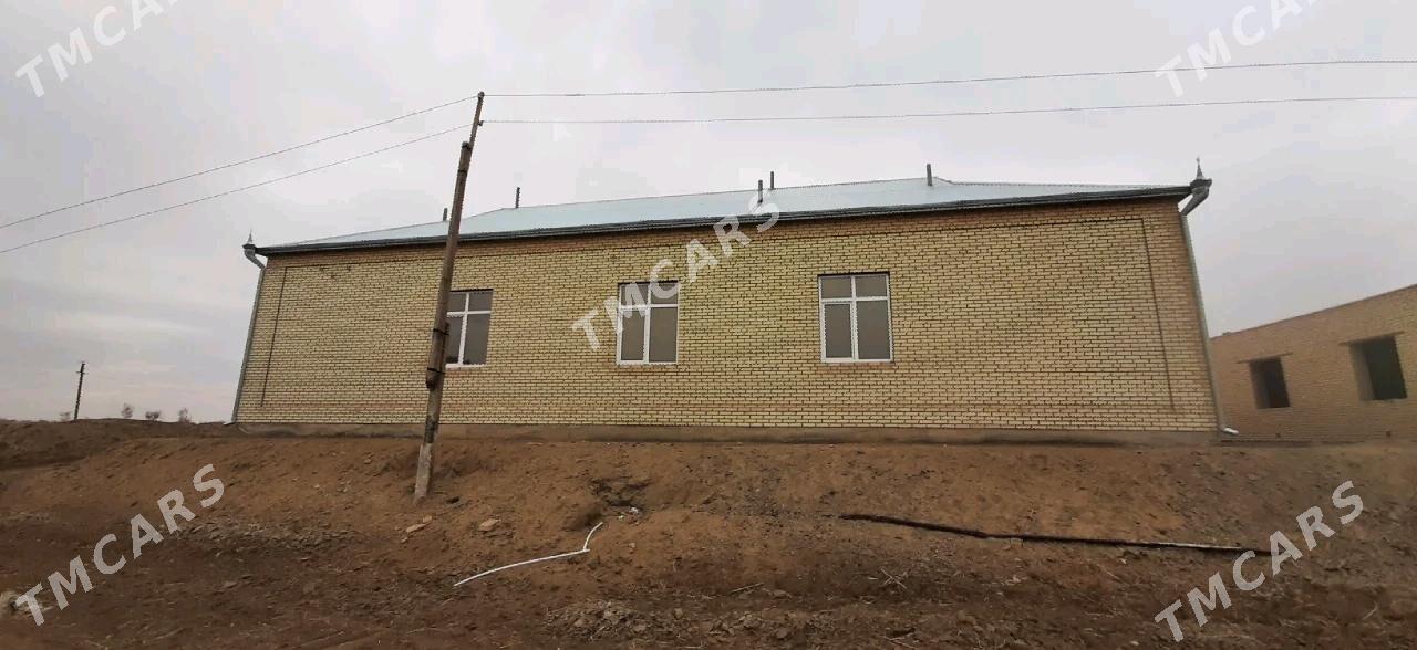 satlyk jay Sakarçäge - Сакарчага - img 4