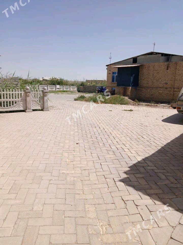 satlyk jaÿ - Керки - img 8