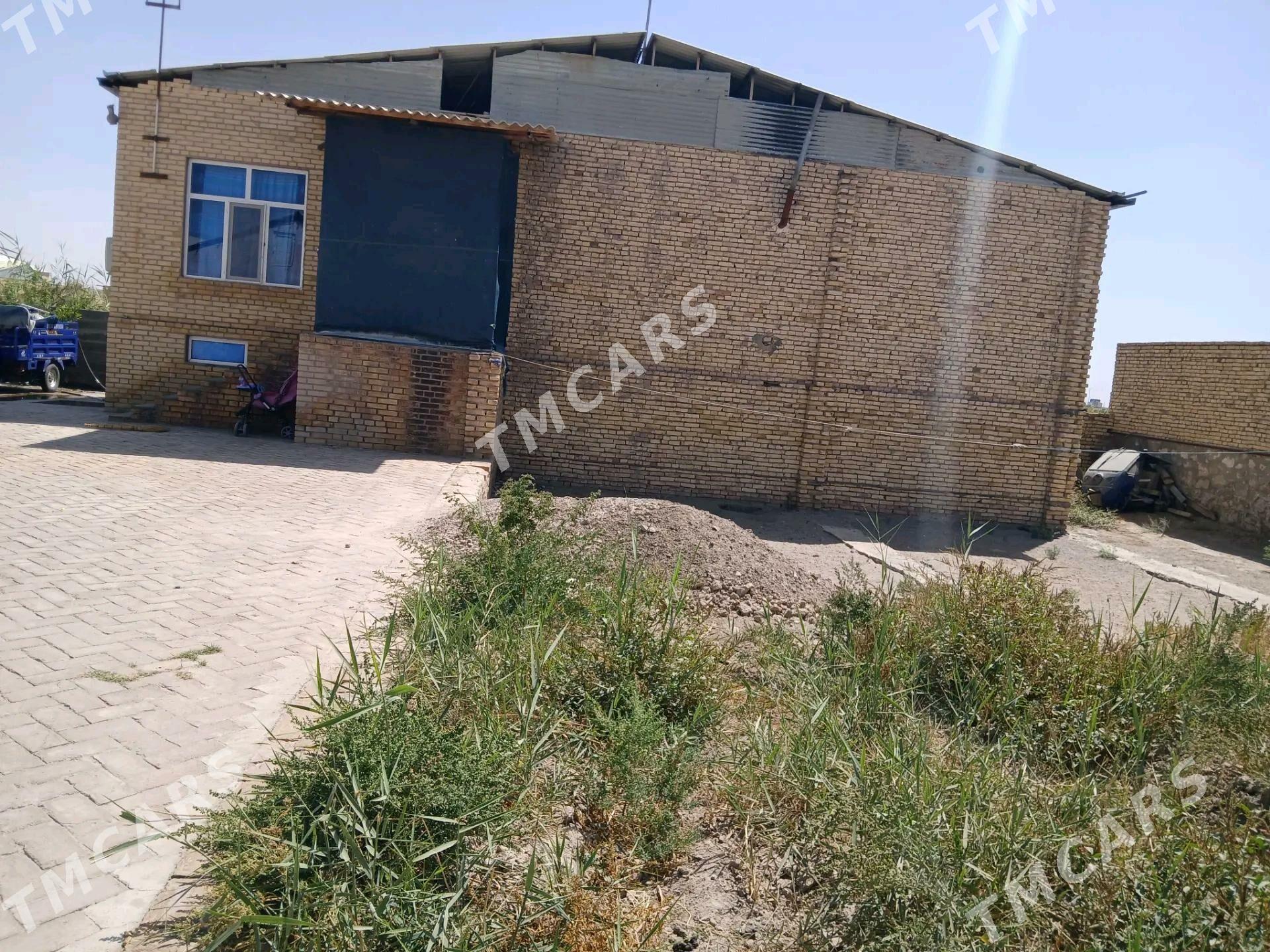 satlyk jaÿ - Керки - img 7