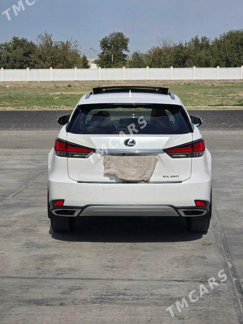 Lexus RX 350 2022 - 650 000 TMT - Mary - img 4