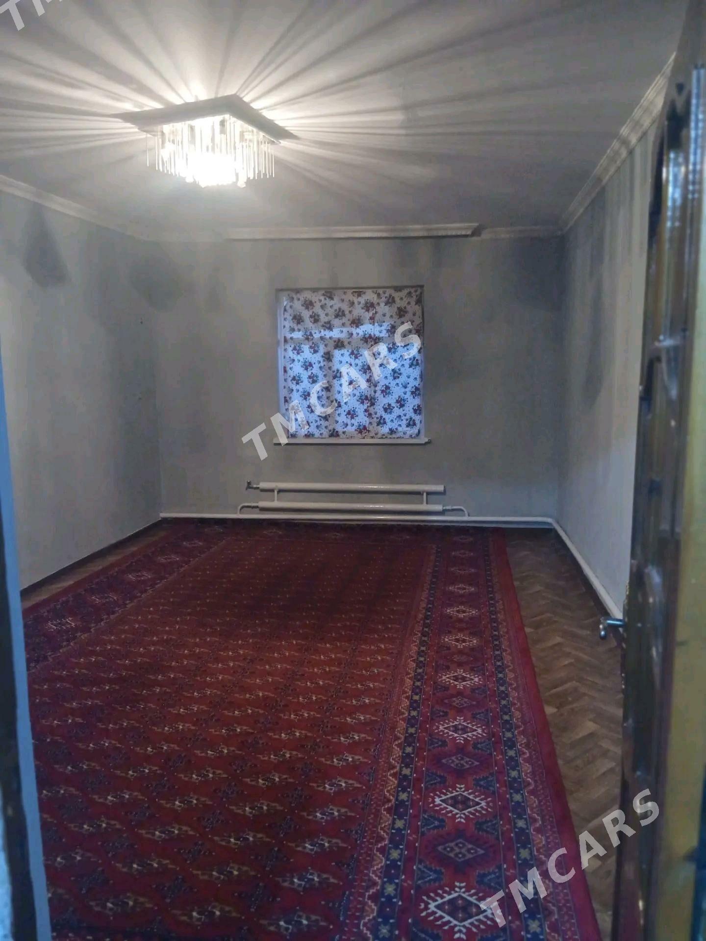 Pylan jay - Ak bugdaý etraby - img 1