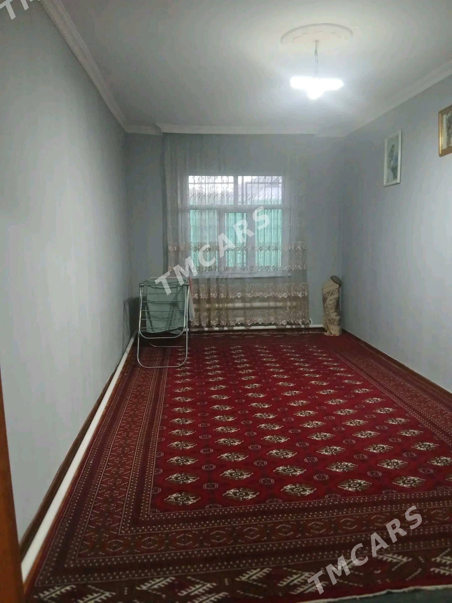 Pylan jay - Ak bugdaý etraby - img 2