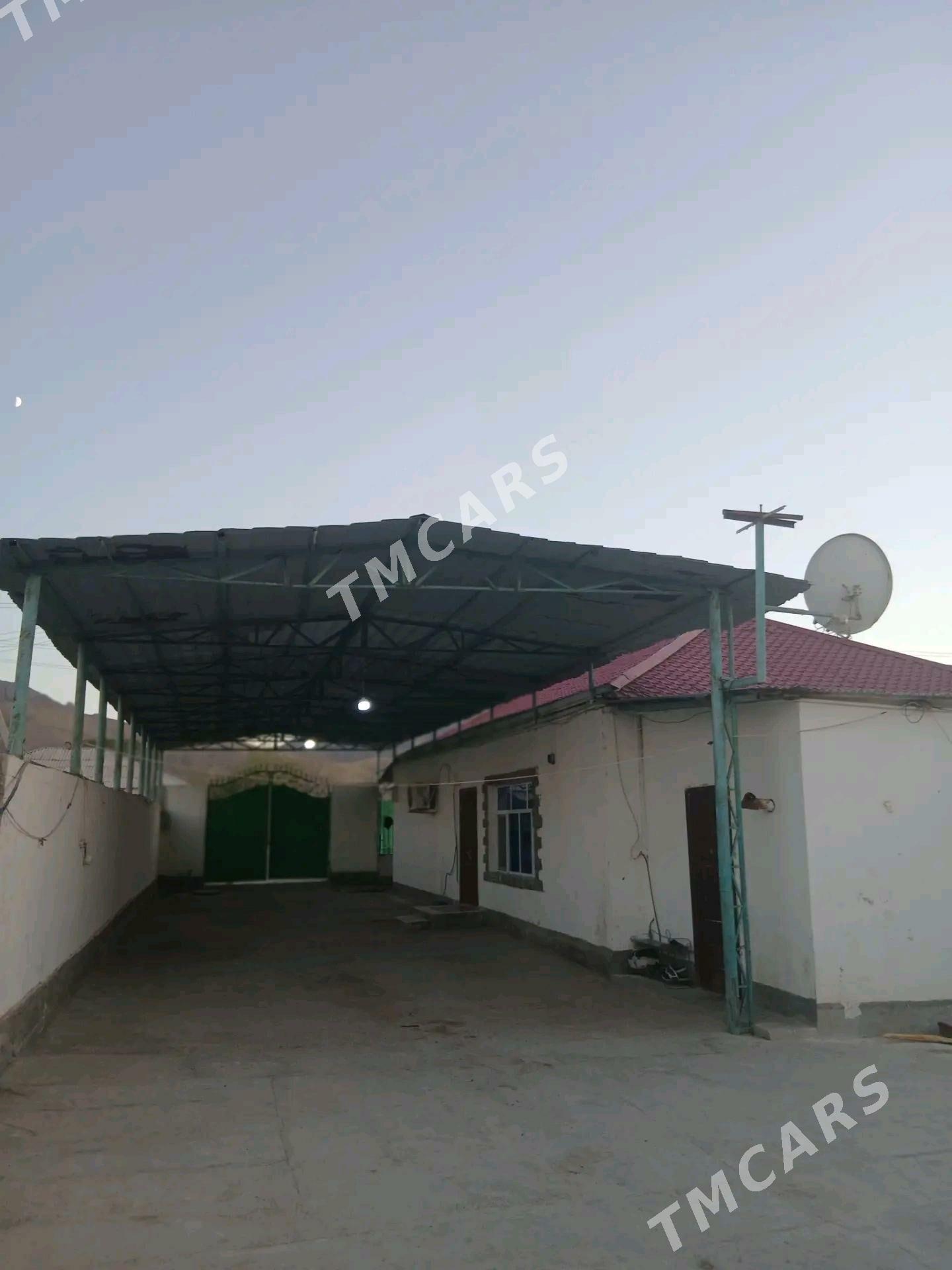 Pylan jay - Ak bugdaý etraby - img 4