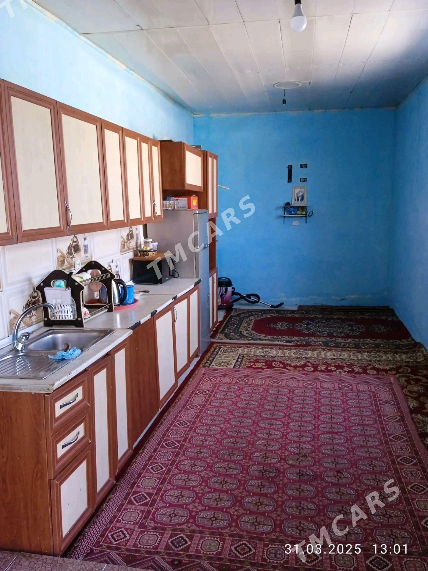 Pylan jay - Ak bugdaý etraby - img 5