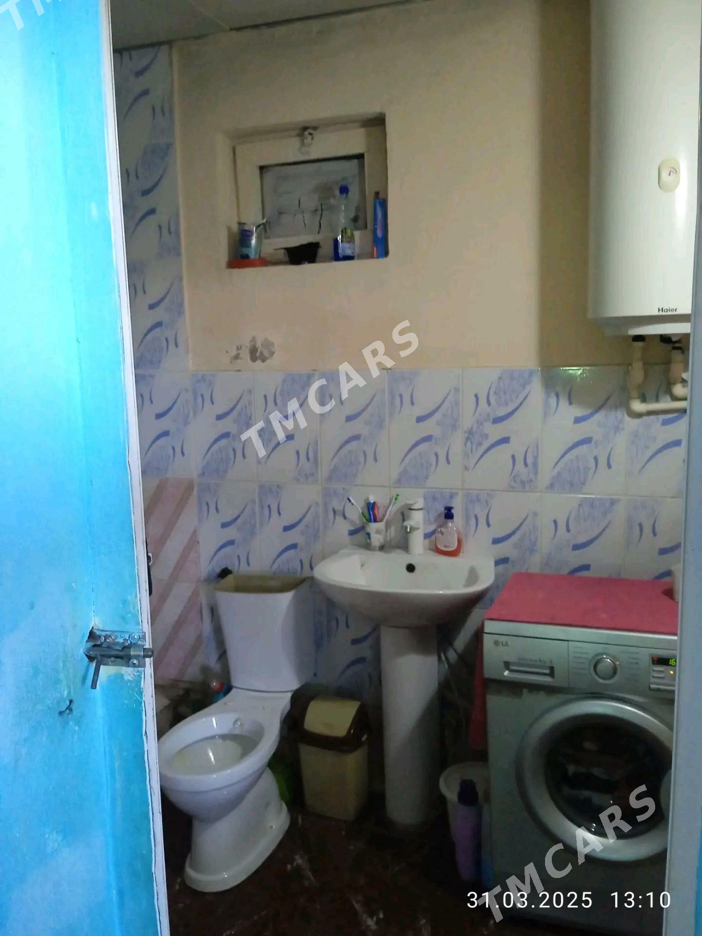 Pylan jay - Ak bugdaý etraby - img 9