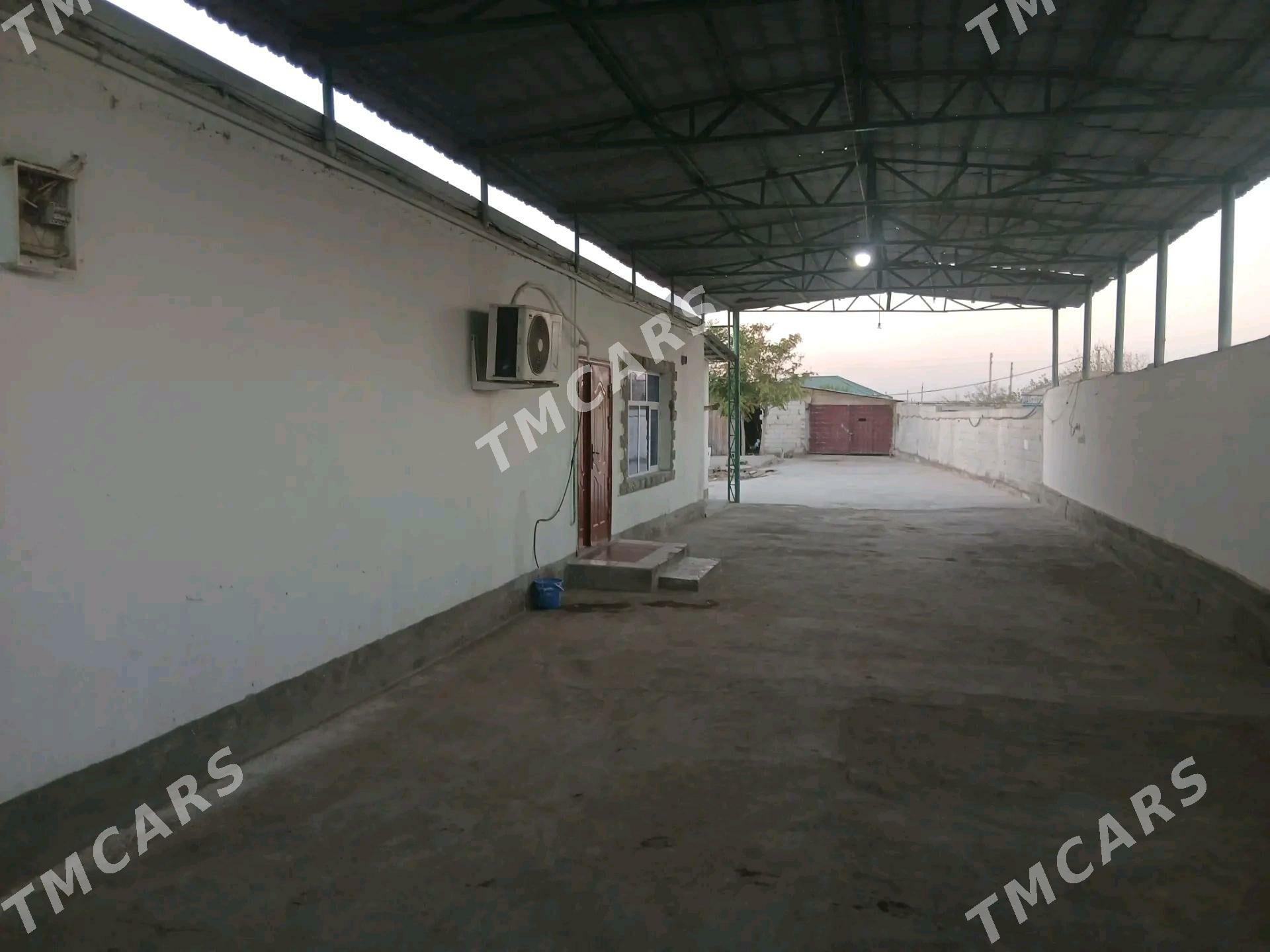 Pylan jay - Ak bugdaý etraby - img 8