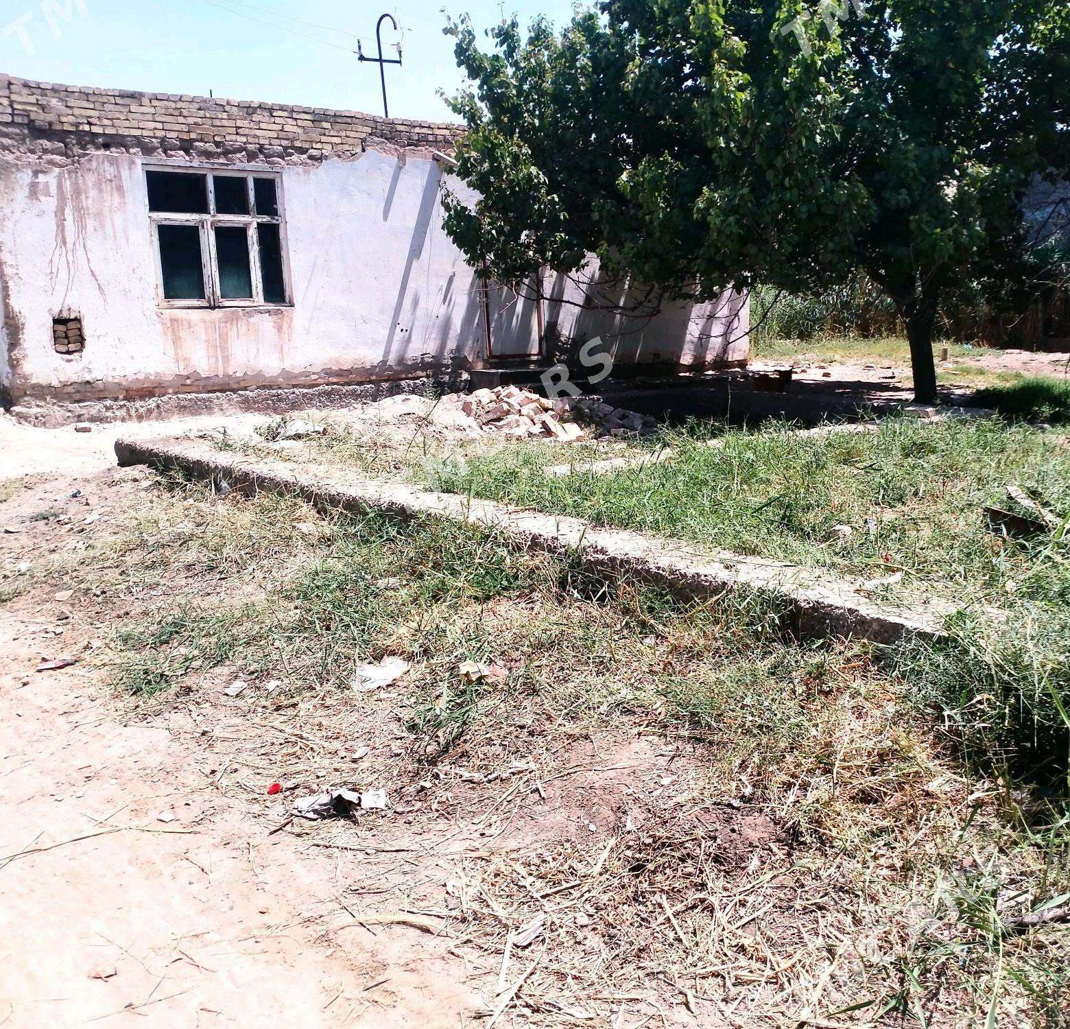 TÜRKMENABAT satılık daça - Türkmenabat - img 3