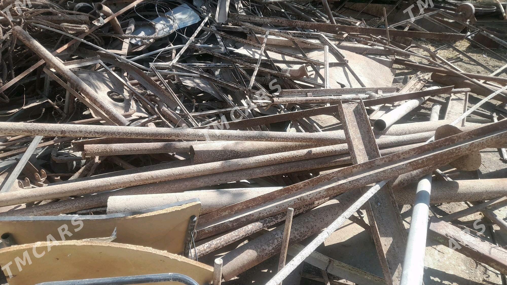 ady.demyr. - Büzmeýin - img 2