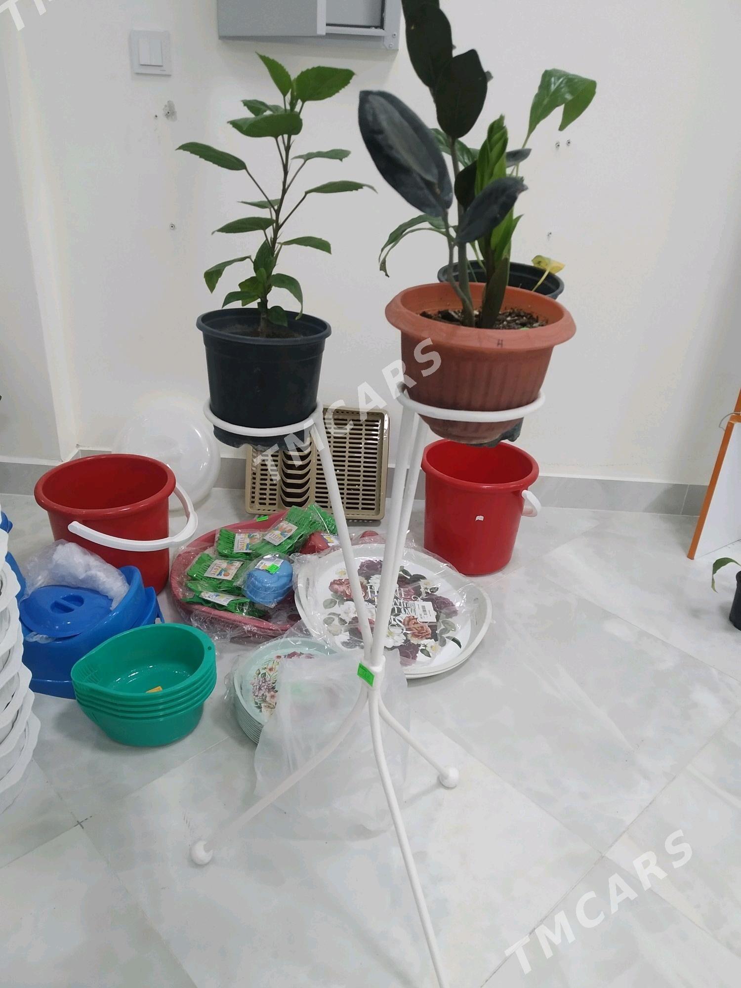 Gül podstawka - Аркадаг - img 1