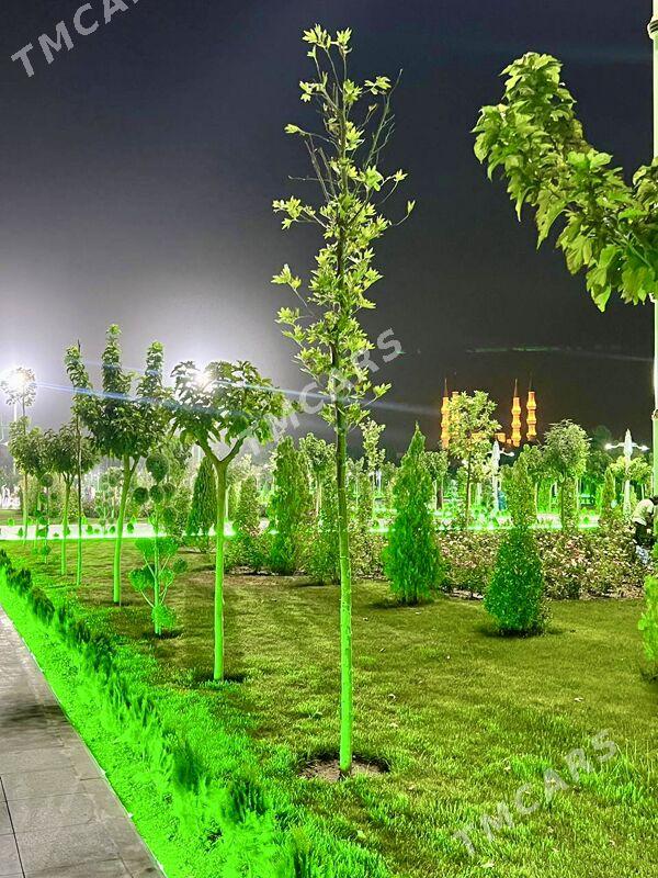 4mkr 2kom razdelni gyssagly - Aşgabat - img 5