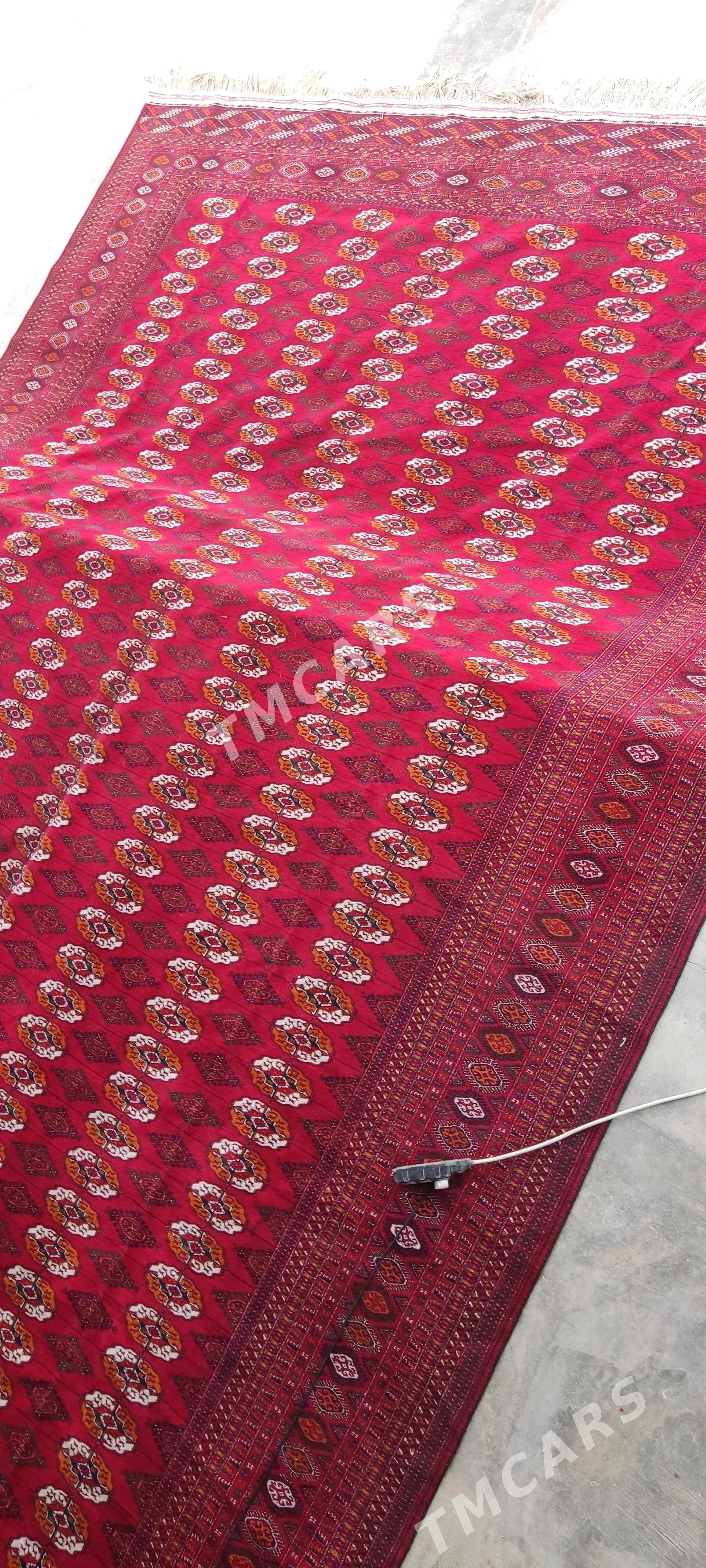 el haly 4.50/9 - Bäherden - img 1