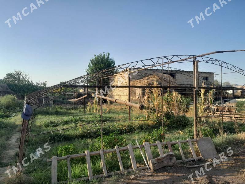 tiplissa - Sakar - img 2