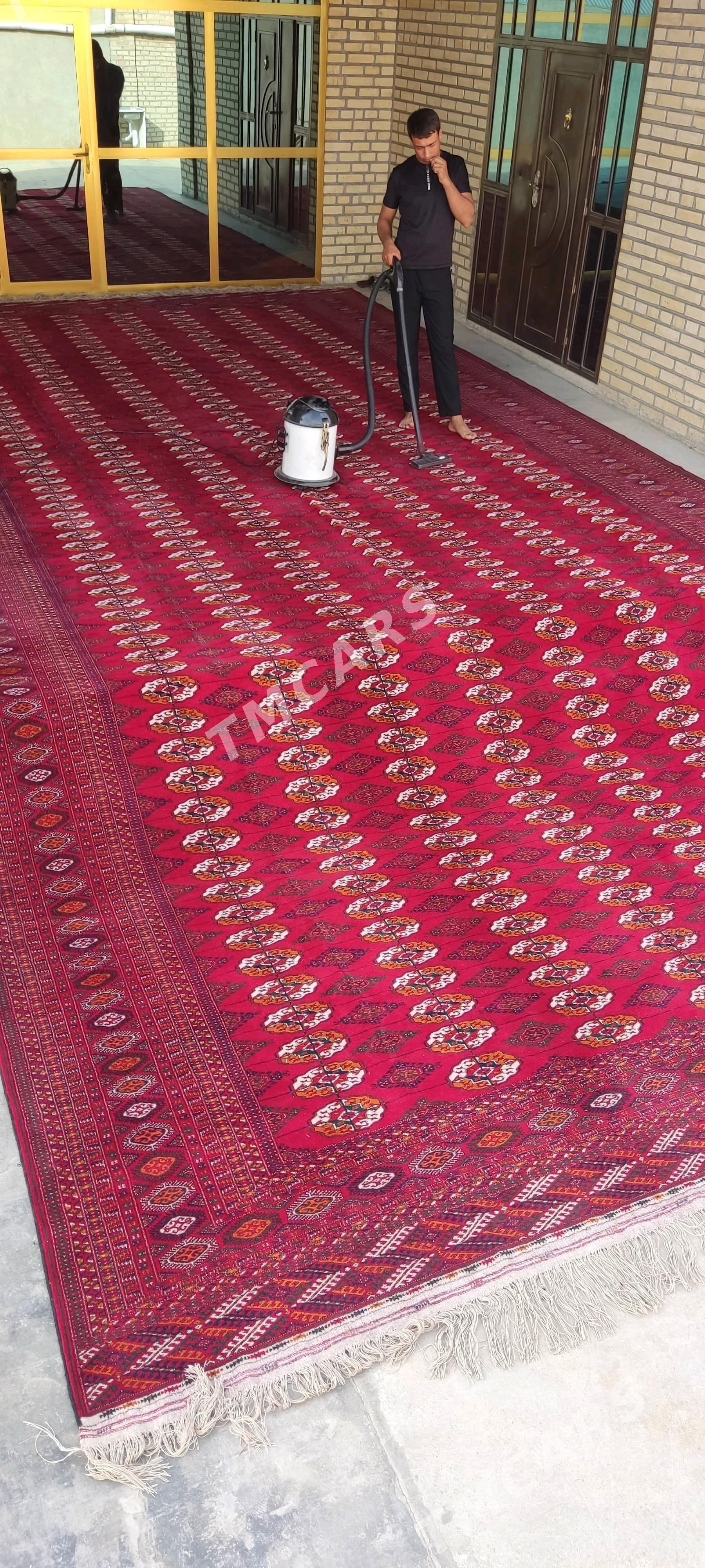 el haly 4.50/9 - Bäherden - img 2