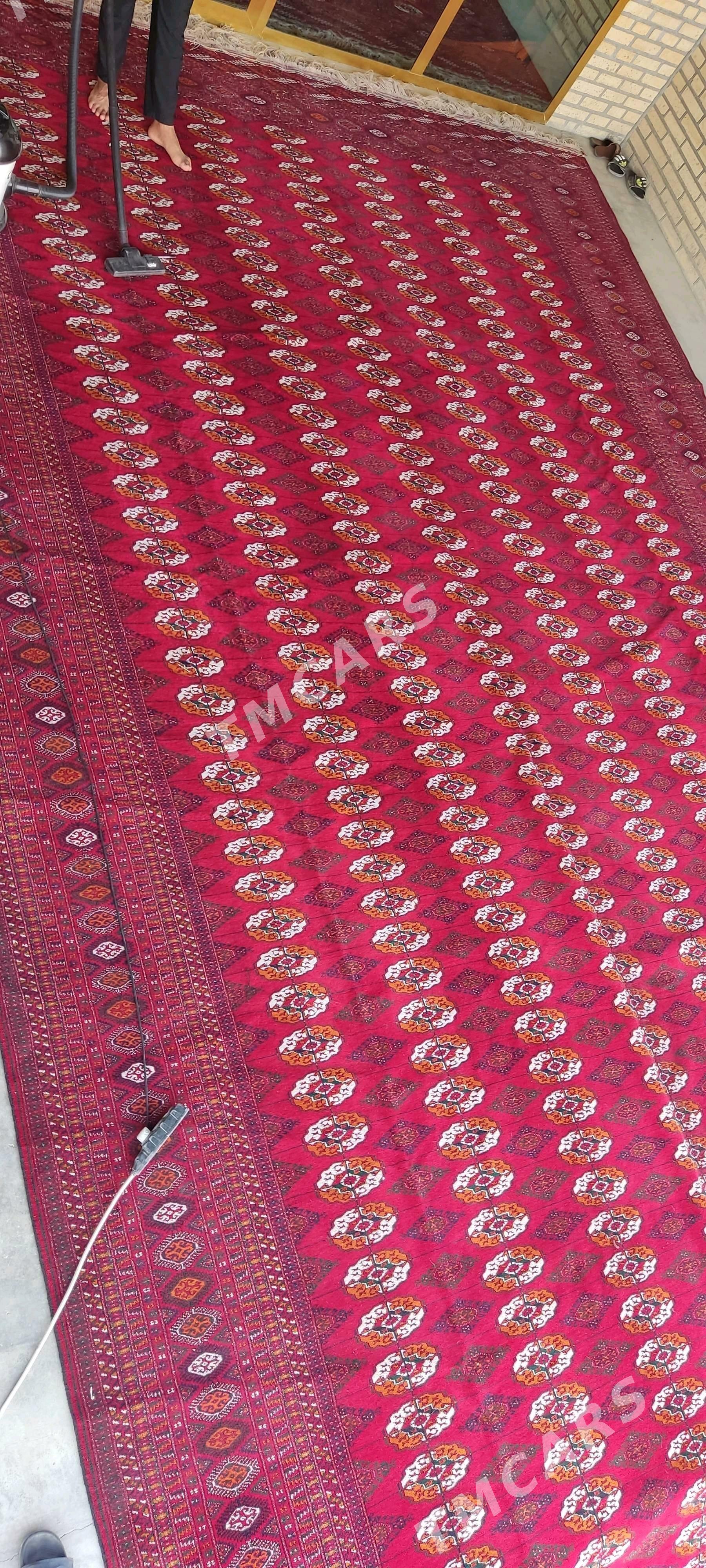 el haly 4.50/9 - Bäherden - img 3