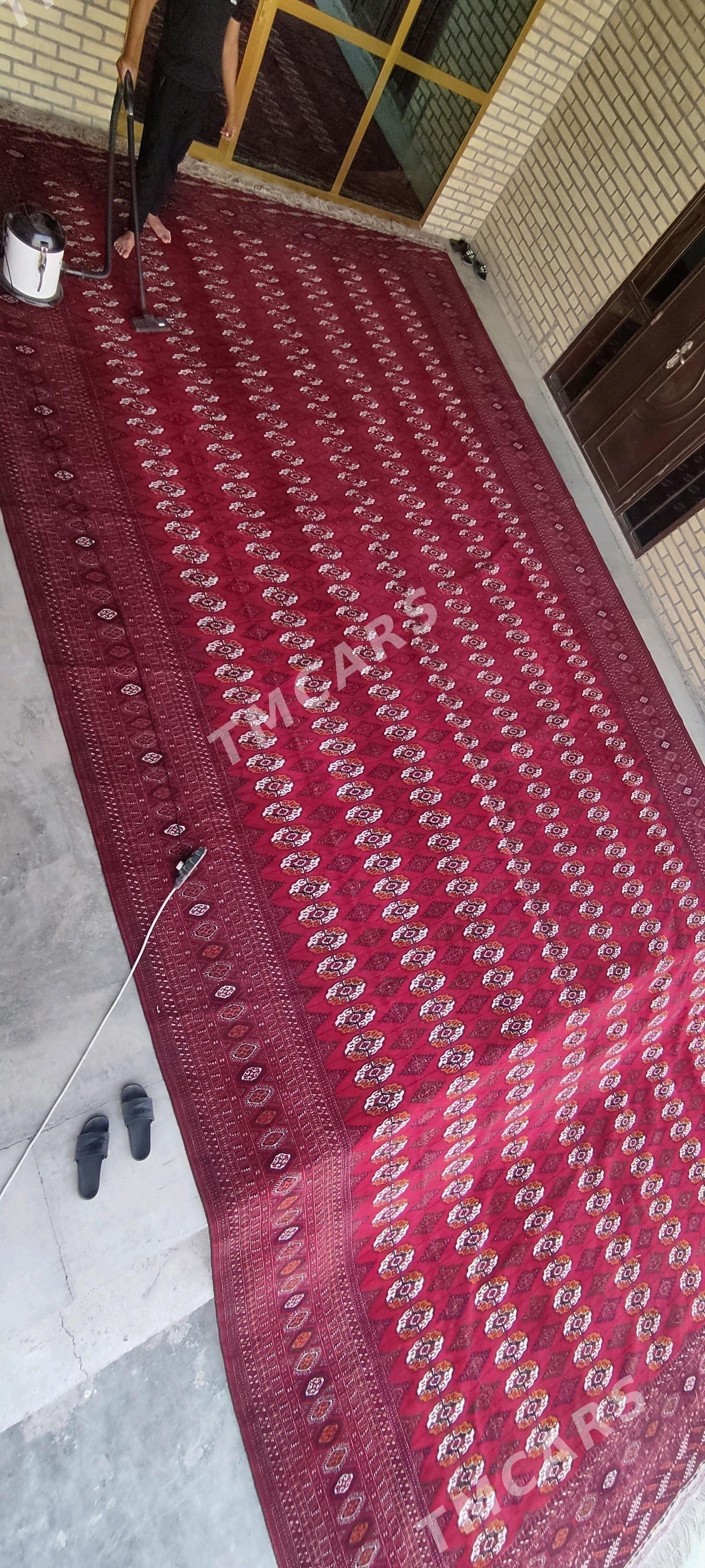 el haly 4.50/9 - Bäherden - img 5