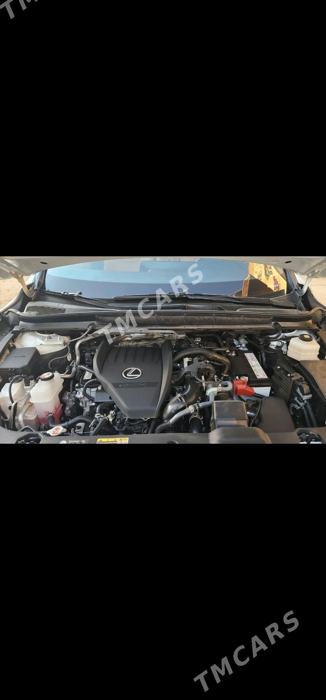 Lexus RX 350 2023 - 900 000 TMT - Mary - img 8