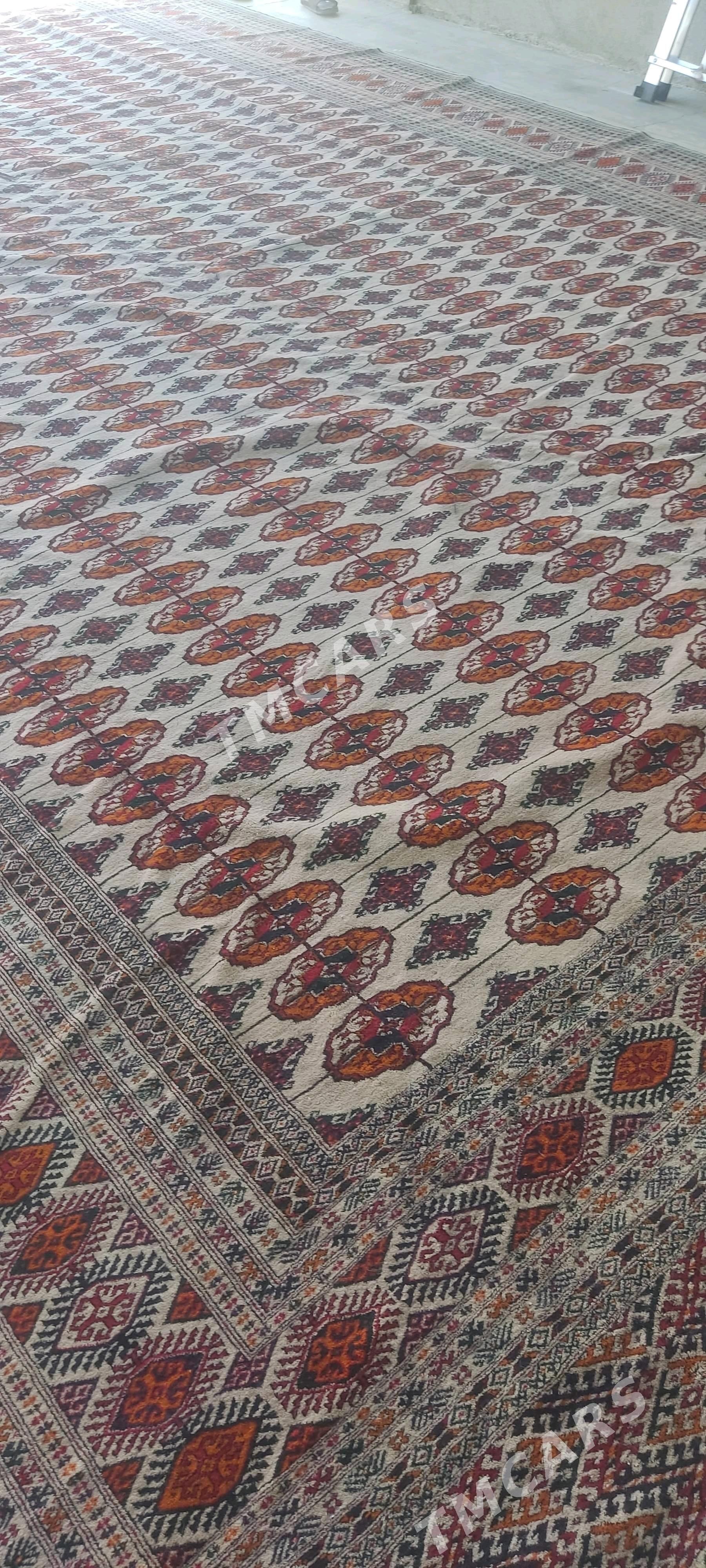 el haly 4/7 - Bäherden - img 3