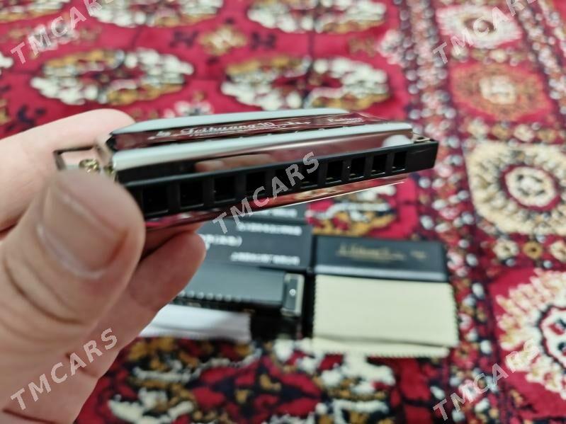 Harmonica gitara гитара - Daşoguz - img 7