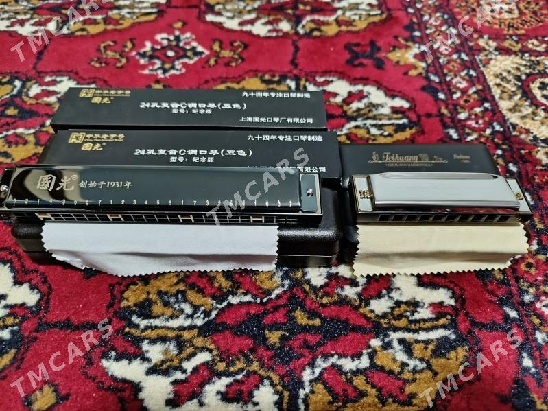 Harmonica gitara гитара - Daşoguz - img 10