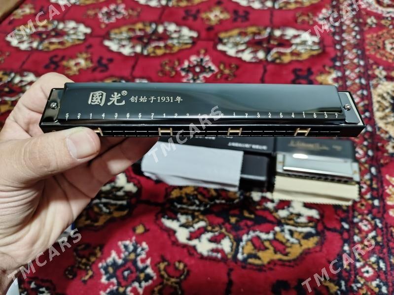 Harmonica gitara гитара - Aşgabat - img 3