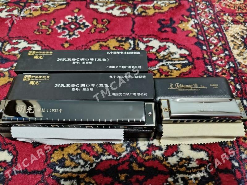 Harmonica gitara гитара - Aşgabat - img 7