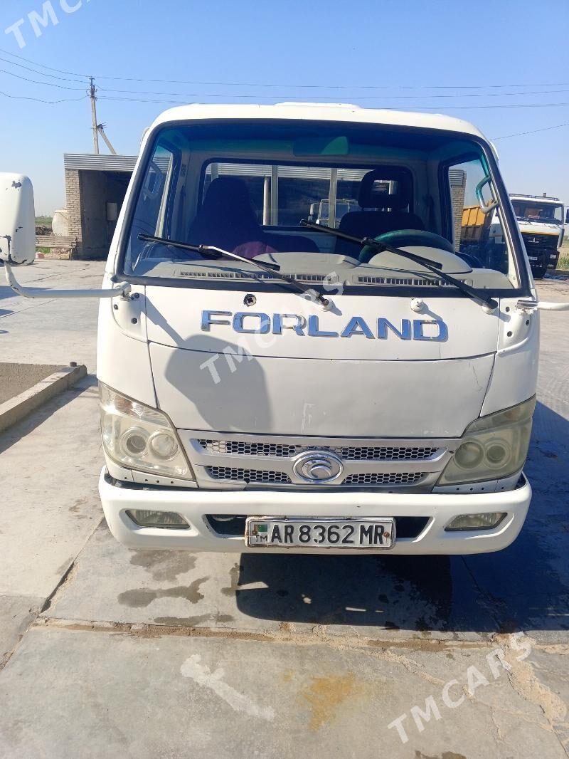 Forland H2 2012 - 80 000 TMT - Сакарчага - img 4