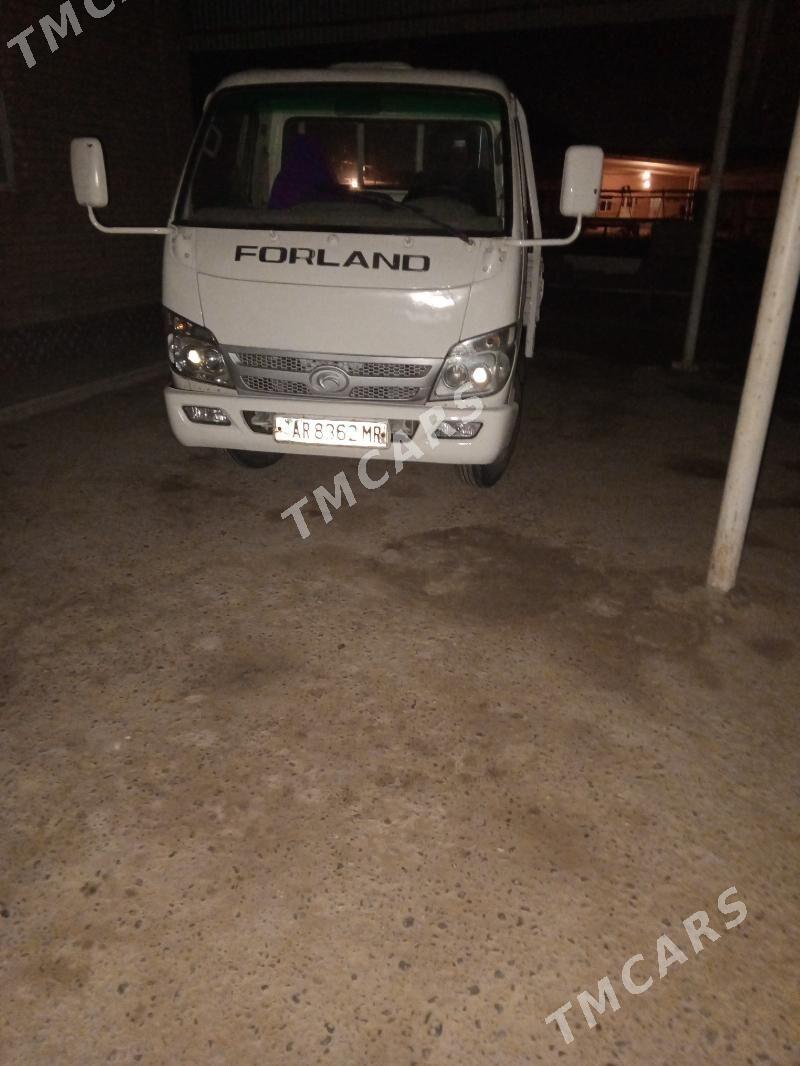 Forland H2 2012 - 80 000 TMT - Сакарчага - img 3