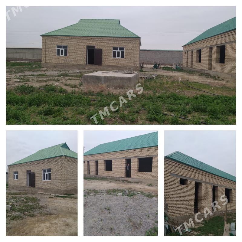 SATLYK JAÝ - Бахарден - img 1