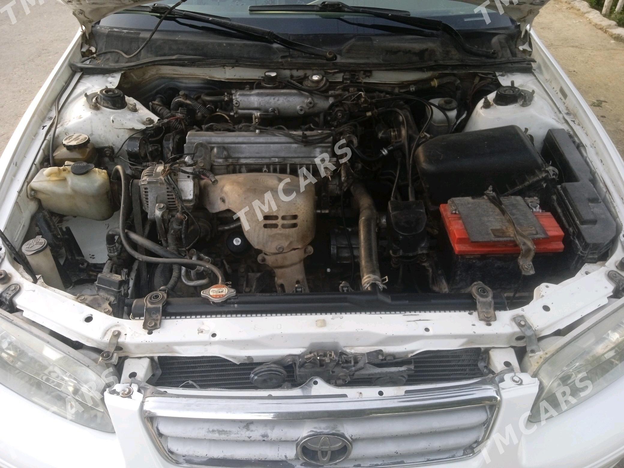 Toyota Camry 2000 - 120 000 TMT - Халач - img 4
