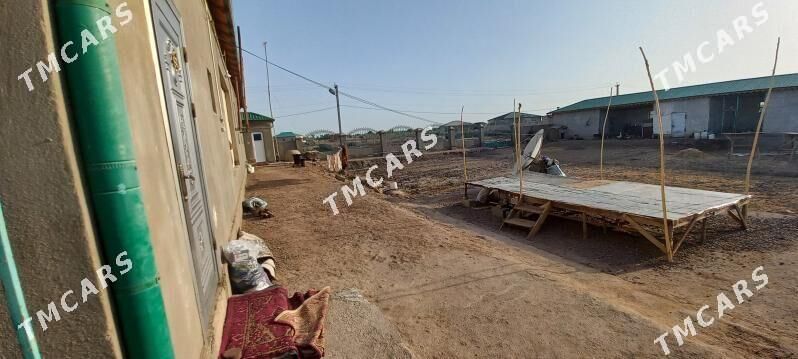 Satlyk jay - Шабатский этрап - img 4