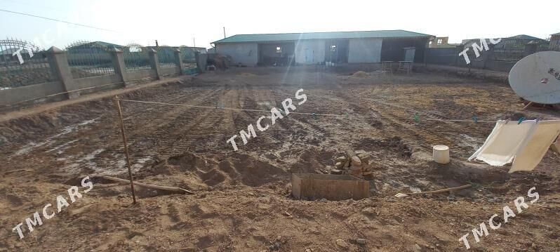 Satlyk jay - Шабатский этрап - img 3