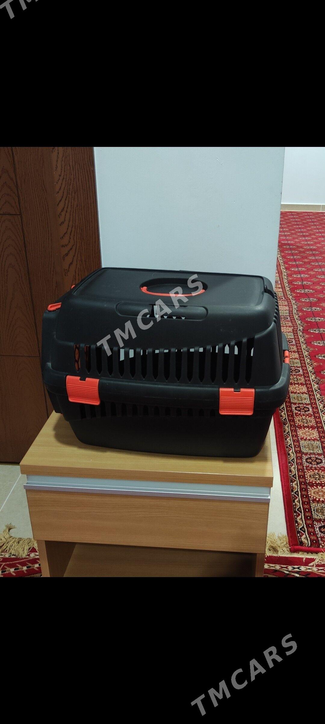 Pishigin zatlary - Aşgabat - img 2