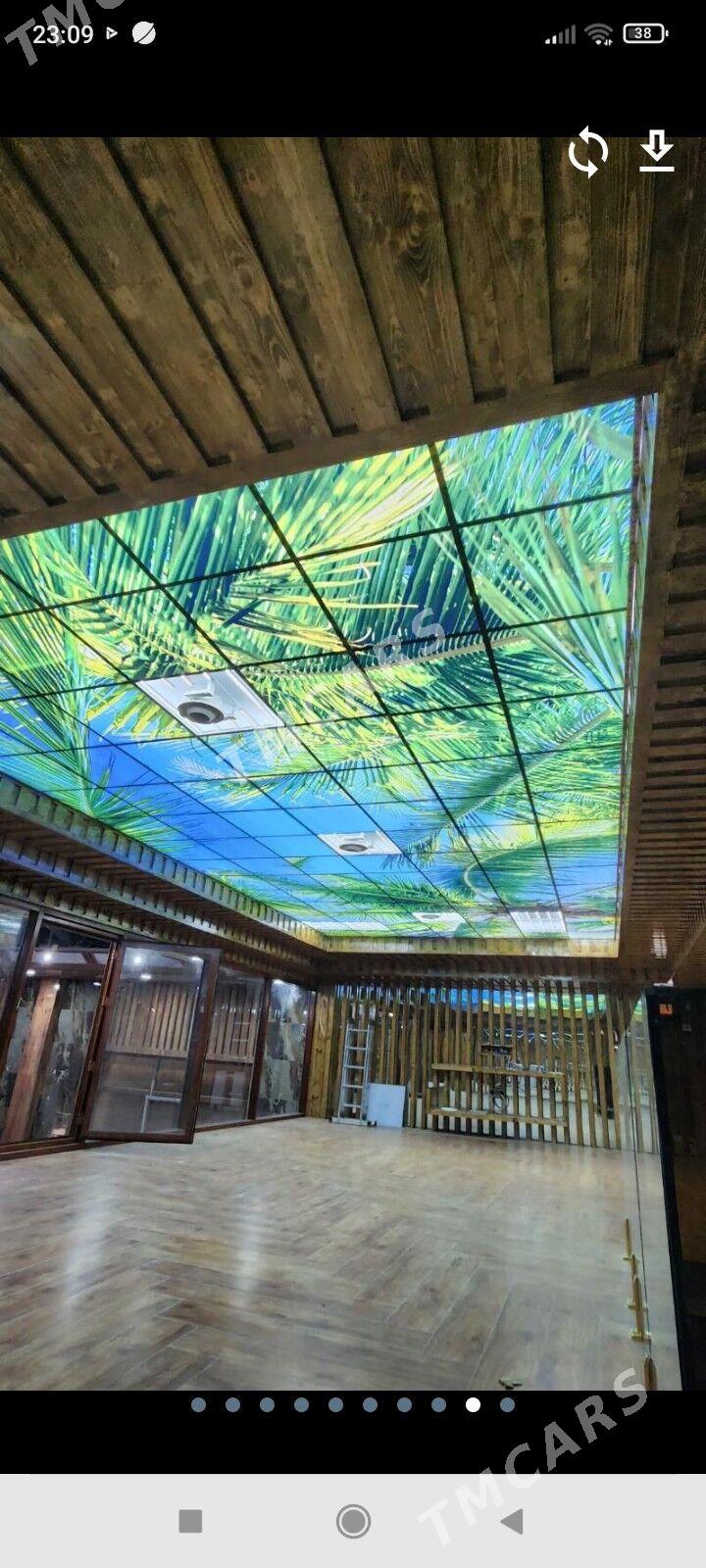 bagyr - Багир - img 2