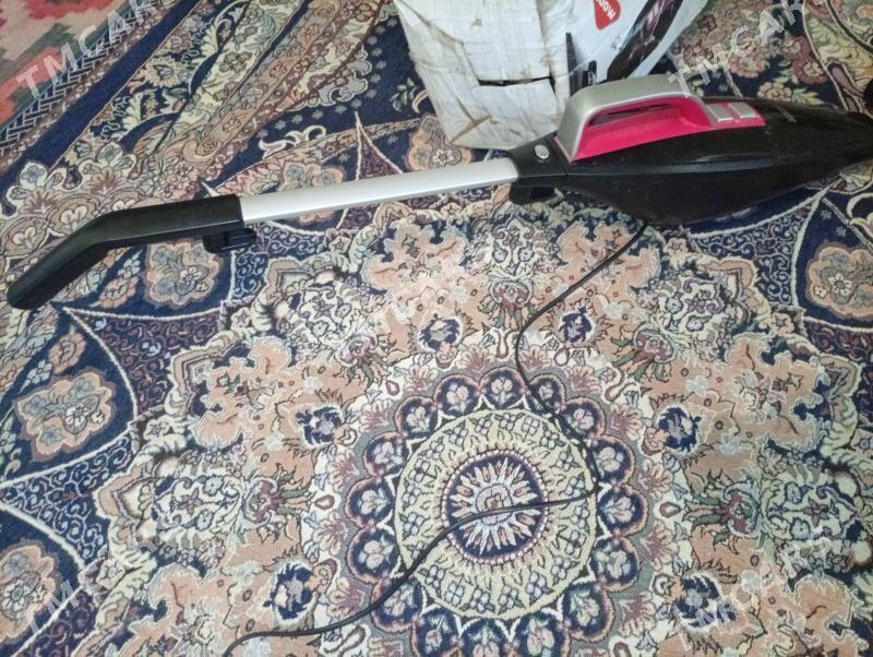 pelasus - Койтендаг - img 2