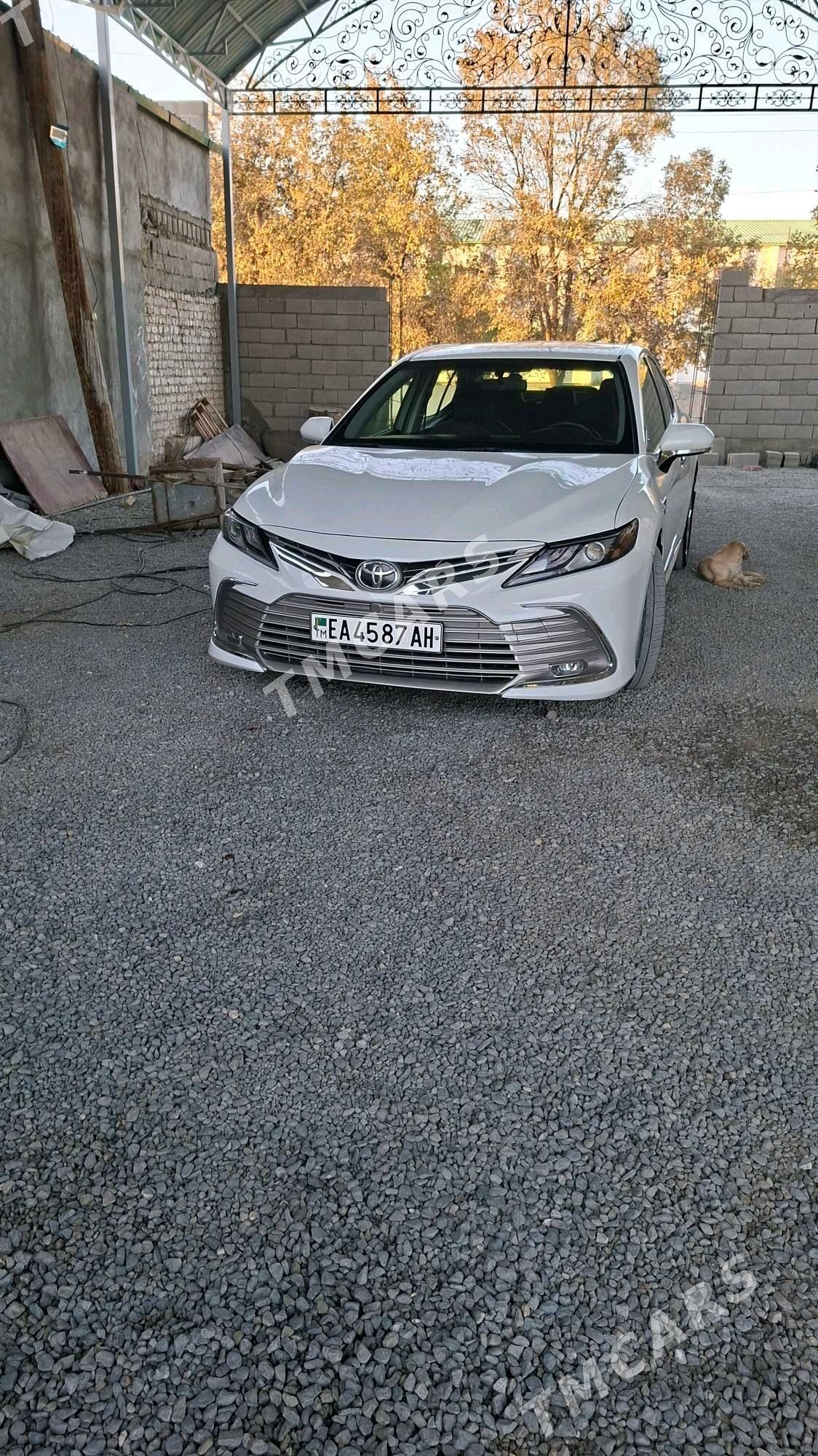 Toyota Camry 2019 - 280 000 TMT - Бахарден - img 5
