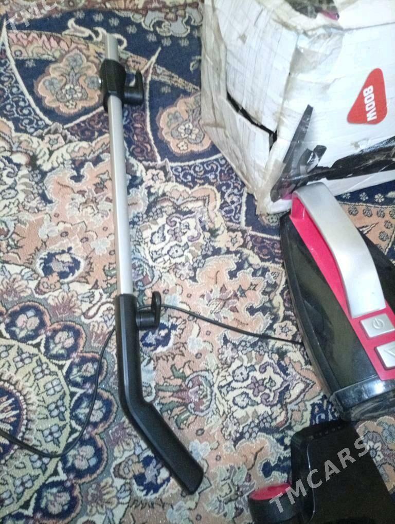 pelasus - Койтендаг - img 3