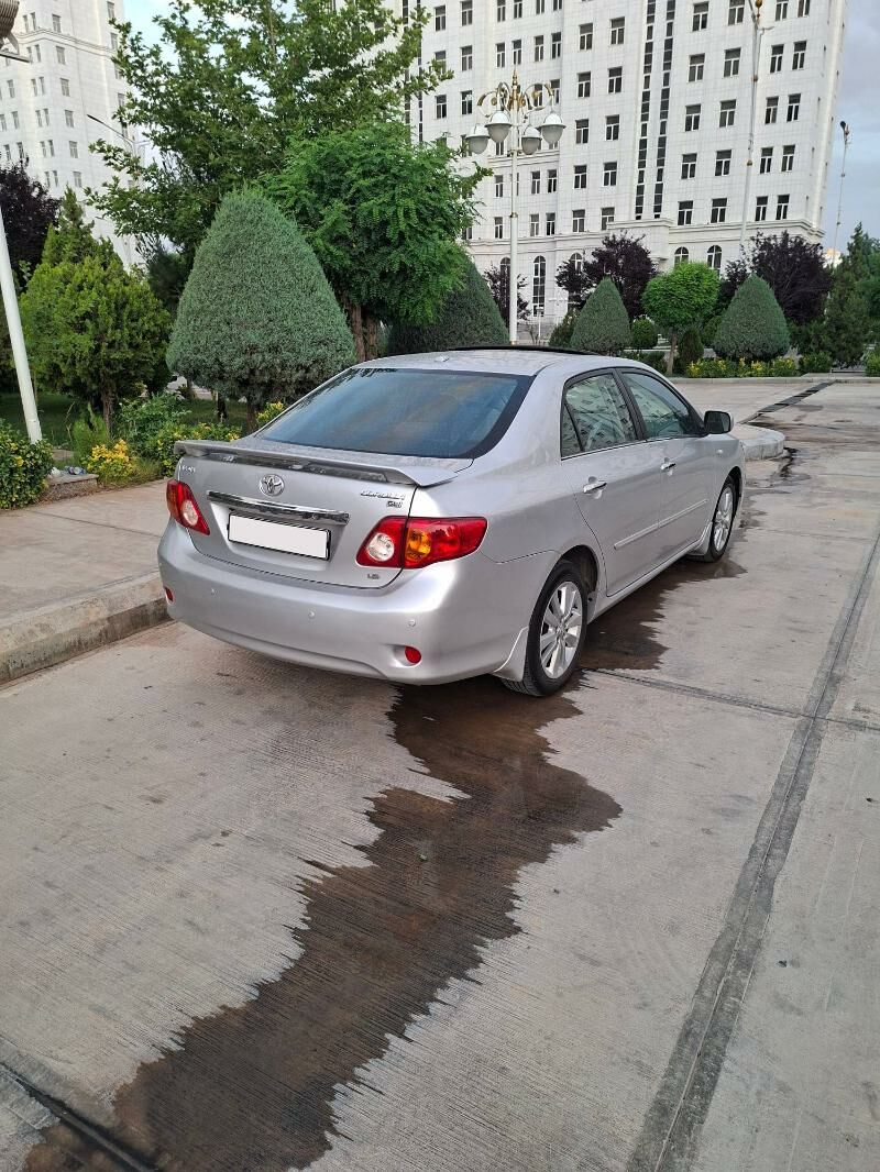 carolla setka 2 200 TMT - Aşgabat - img 1