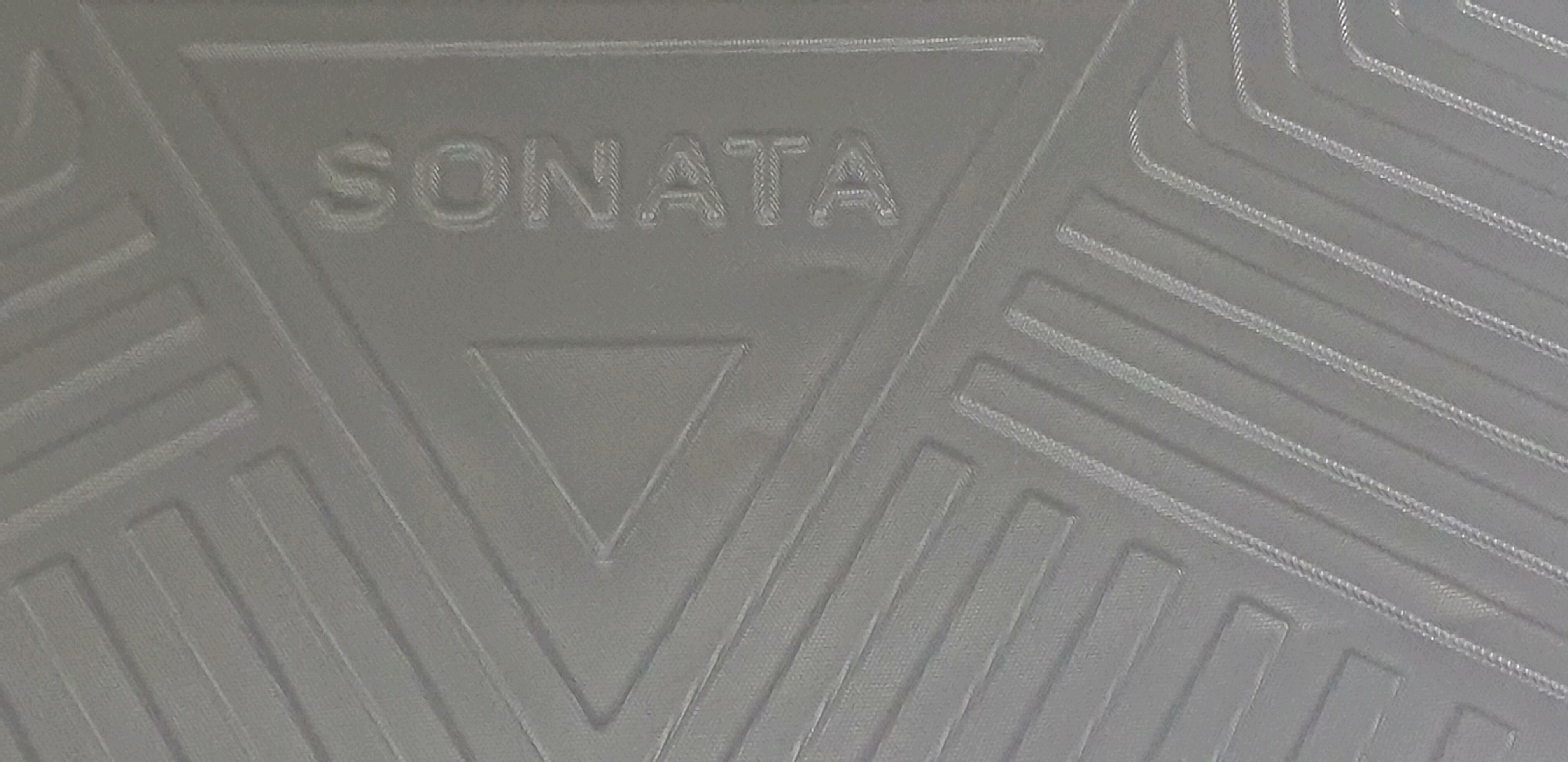 SONATA 10-13ý. bagaž kowrik 350 TMT - Ашхабад - img 7