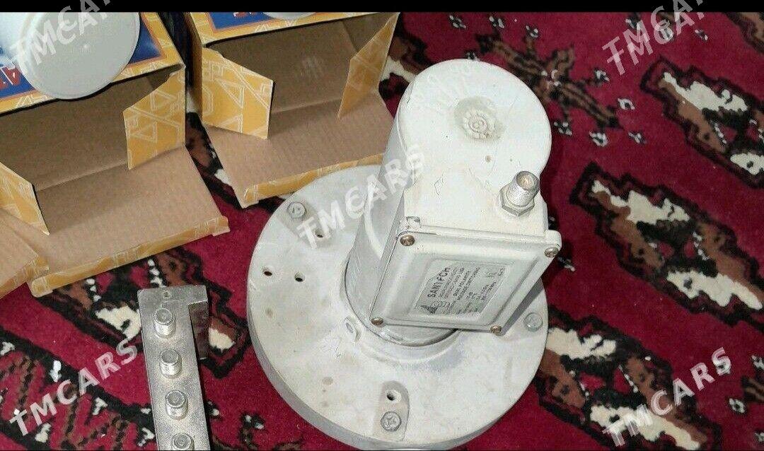 GALOKO ULY KIÇI - Анев - img 1