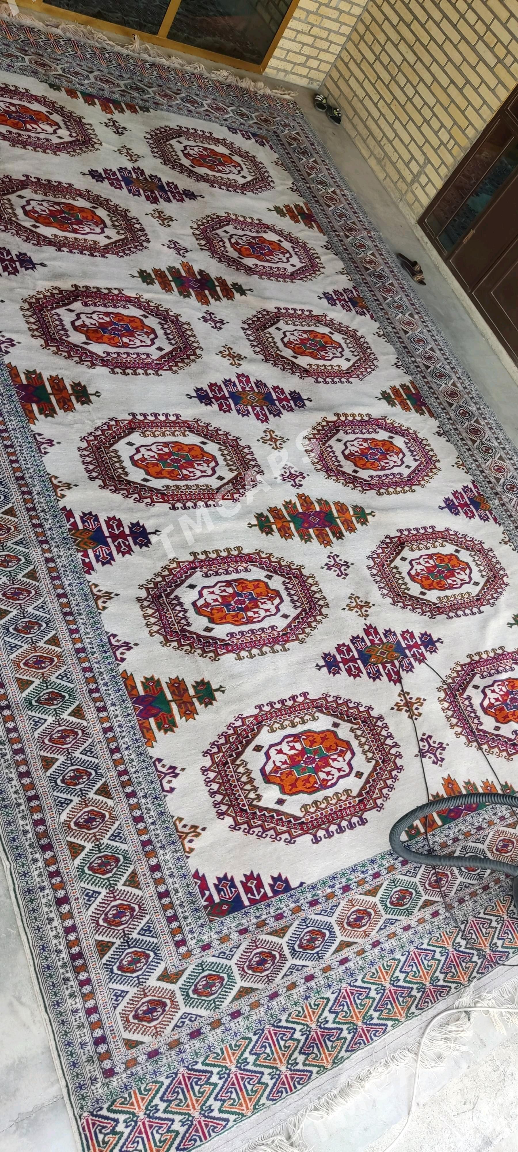 el haly 4/6 q - Bäherden - img 2