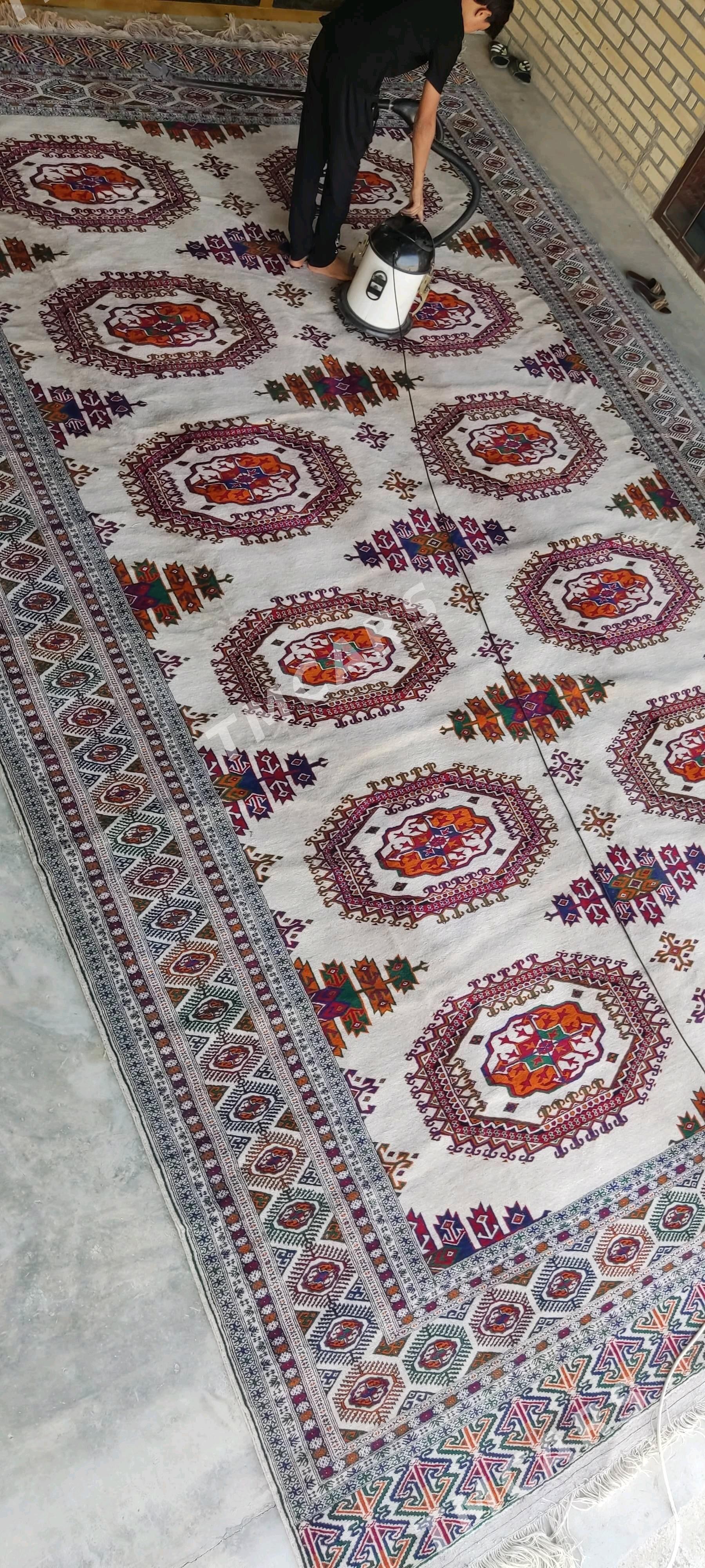 el haly 4/6 q - Bäherden - img 4