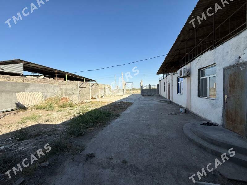 Şor arzan - Aşgabat - img 2