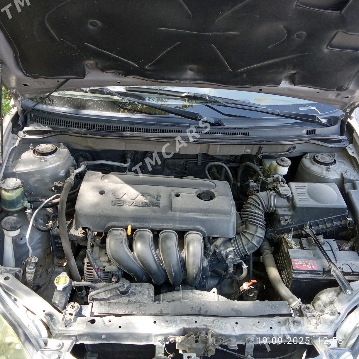 Toyota Corolla 2006 - 128 000 TMT - Ашхабад - img 5