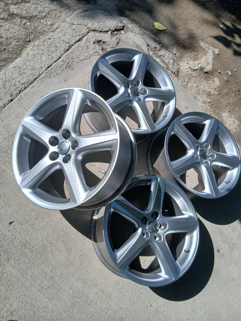 2005 Karolla S Clas Disga 2 500 TMT - Bedew - img 2